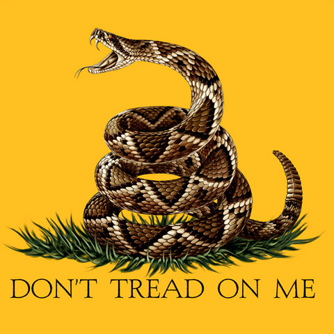 Don't Tread On Me USA Patriotic Yellow Long Sleeve Graphic TShirt
